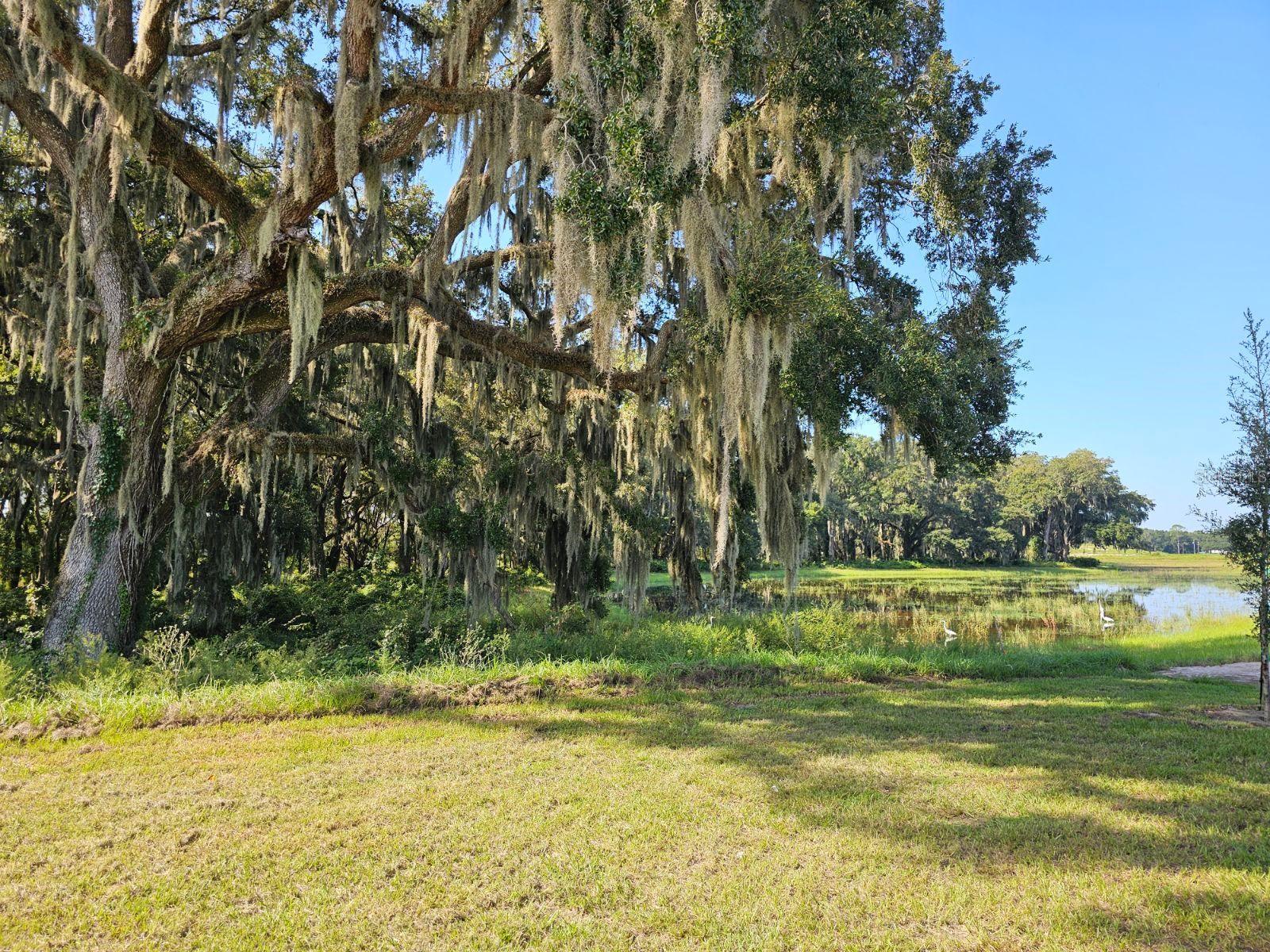 3083 CANOPY OAK BLVD, WILDWOOD, FL, 34785