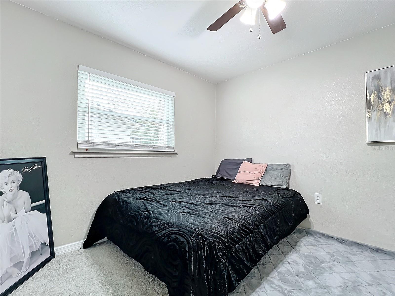 1805 JEFFERSON DR, MOUNT DORA, FL, 32757