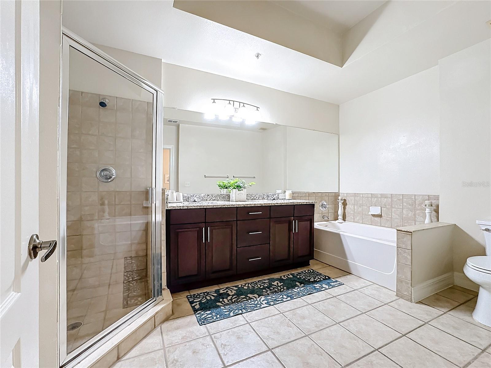515 MIRASOL CIR #304, CELEBRATION, FL, 34747