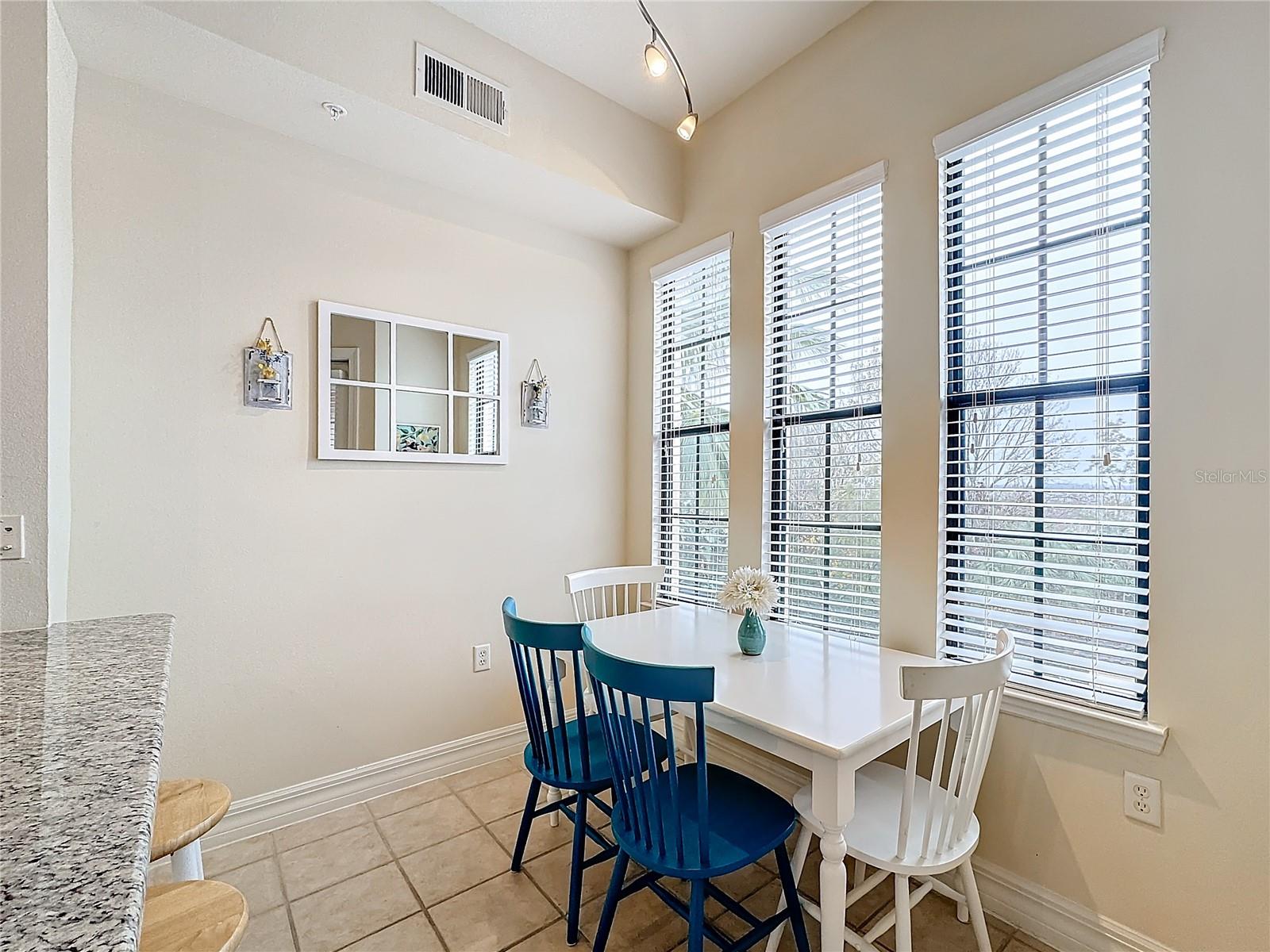 515 MIRASOL CIR #304, CELEBRATION, FL, 34747