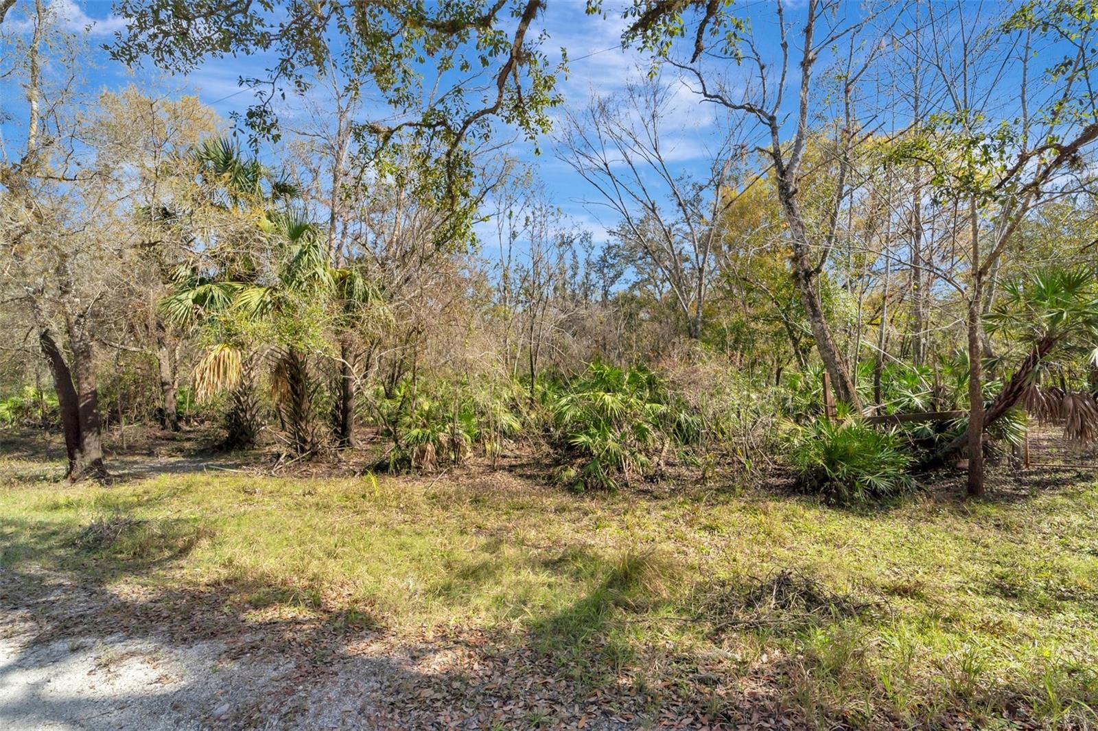 1991 NW GIRL SCOUT RD, ARCADIA, FL, 34266