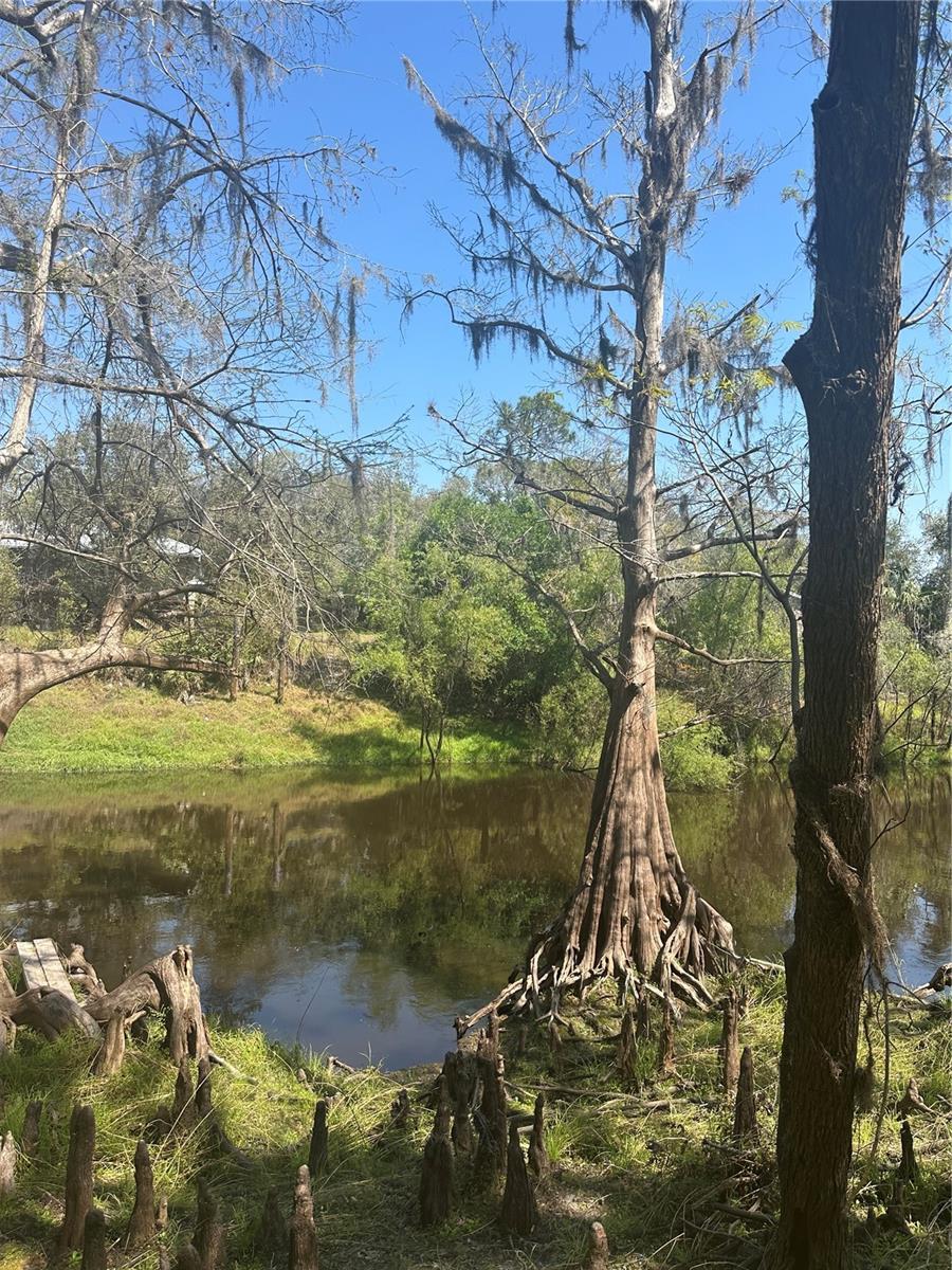 1991 NW GIRL SCOUT RD, ARCADIA, FL, 34266