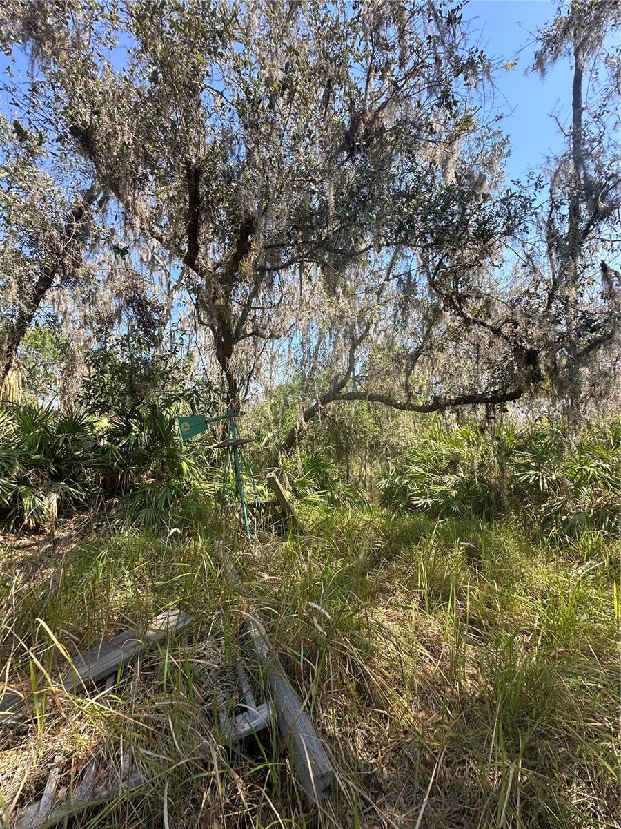 1991 NW GIRL SCOUT RD, ARCADIA, FL, 34266