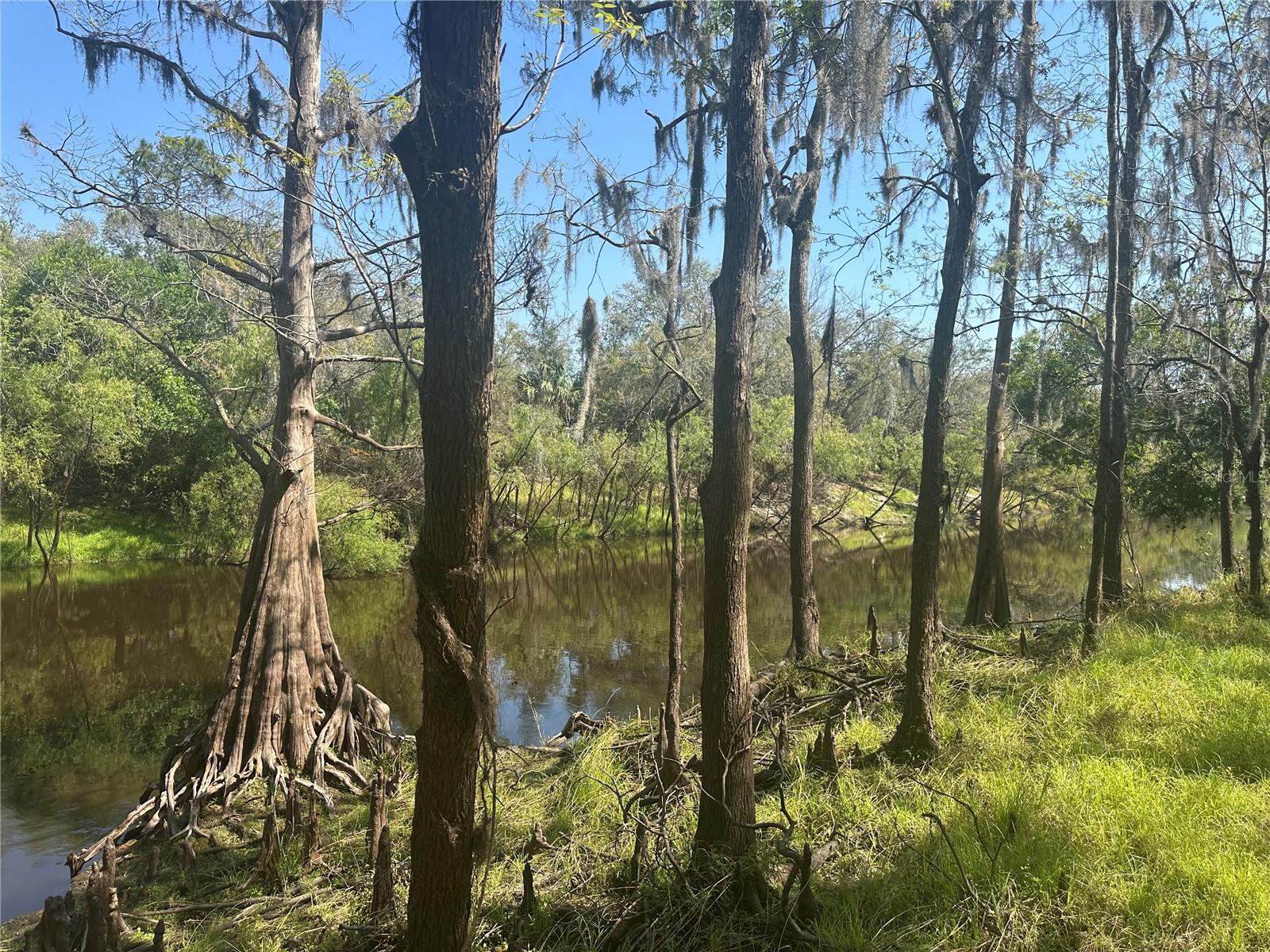 1991 NW GIRL SCOUT RD, ARCADIA, FL, 34266