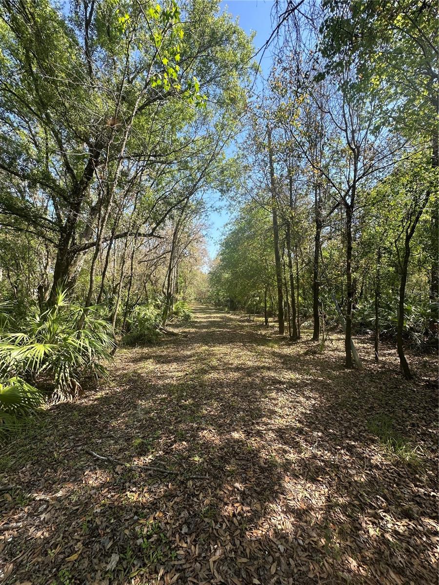 1991 NW GIRL SCOUT RD, ARCADIA, FL, 34266