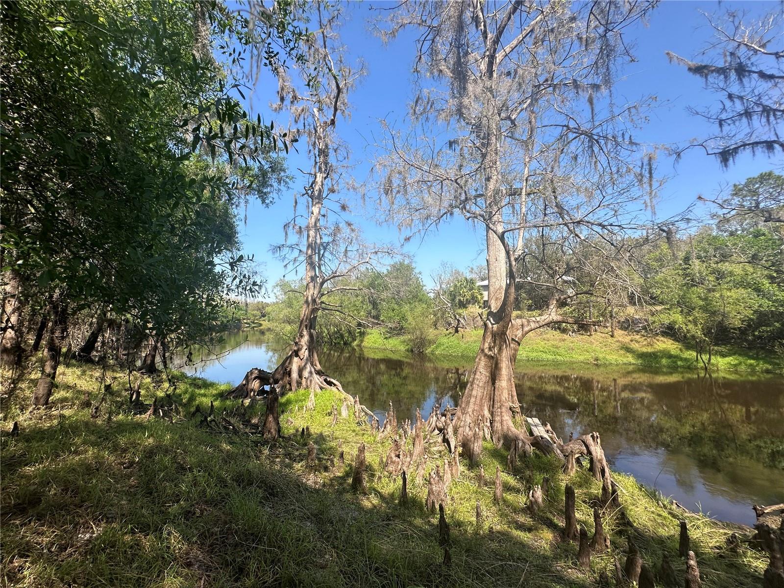 1991 NW GIRL SCOUT RD, ARCADIA, FL, 34266