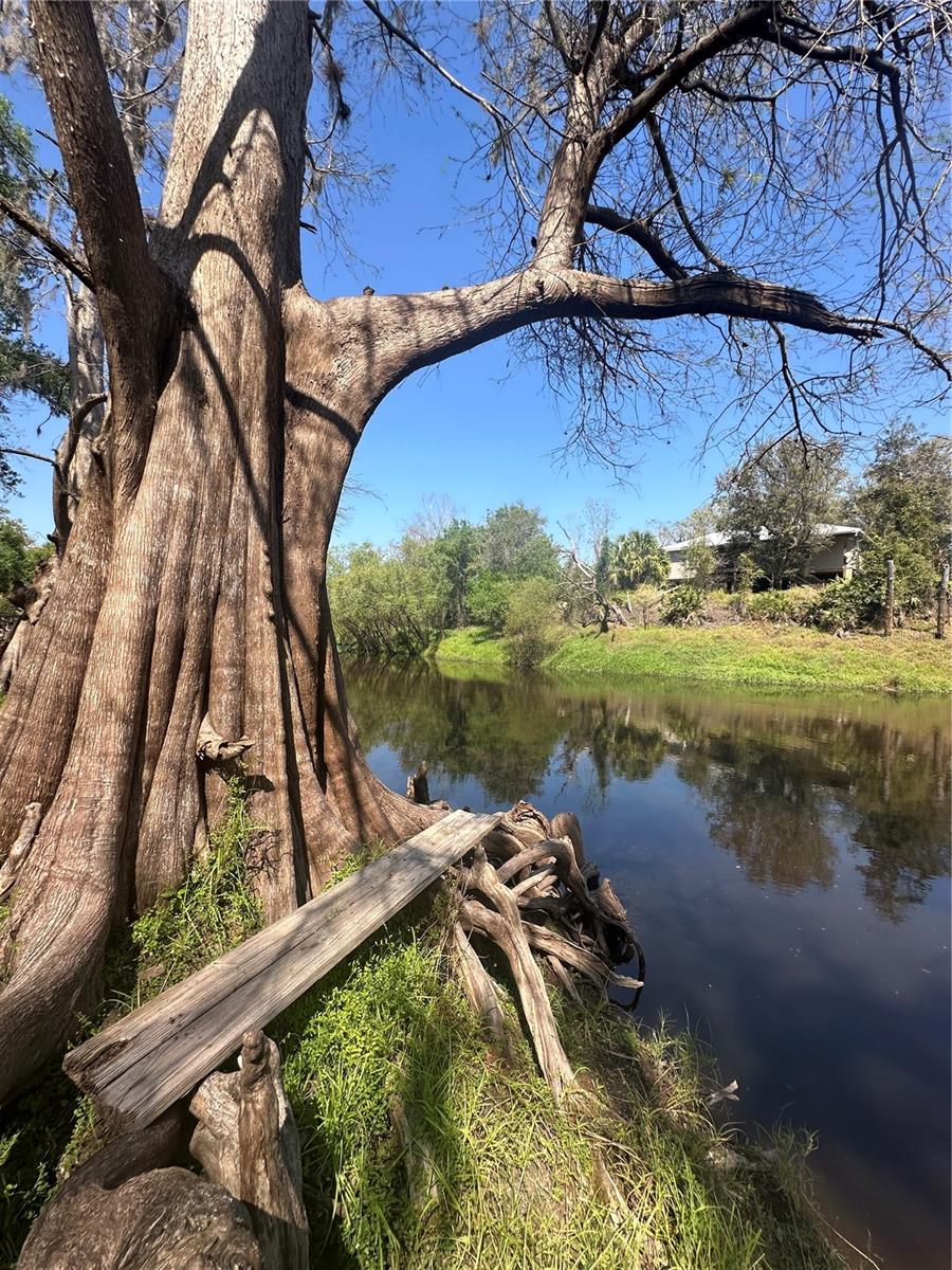 1991 NW GIRL SCOUT RD, ARCADIA, FL, 34266