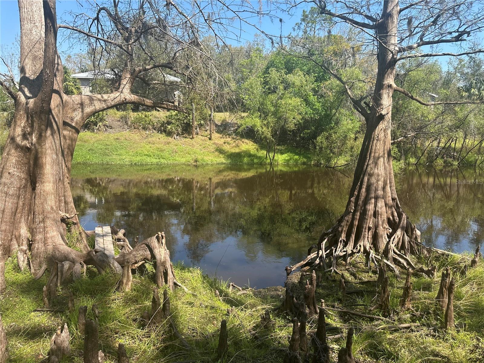 1991 NW GIRL SCOUT RD, ARCADIA, FL, 34266