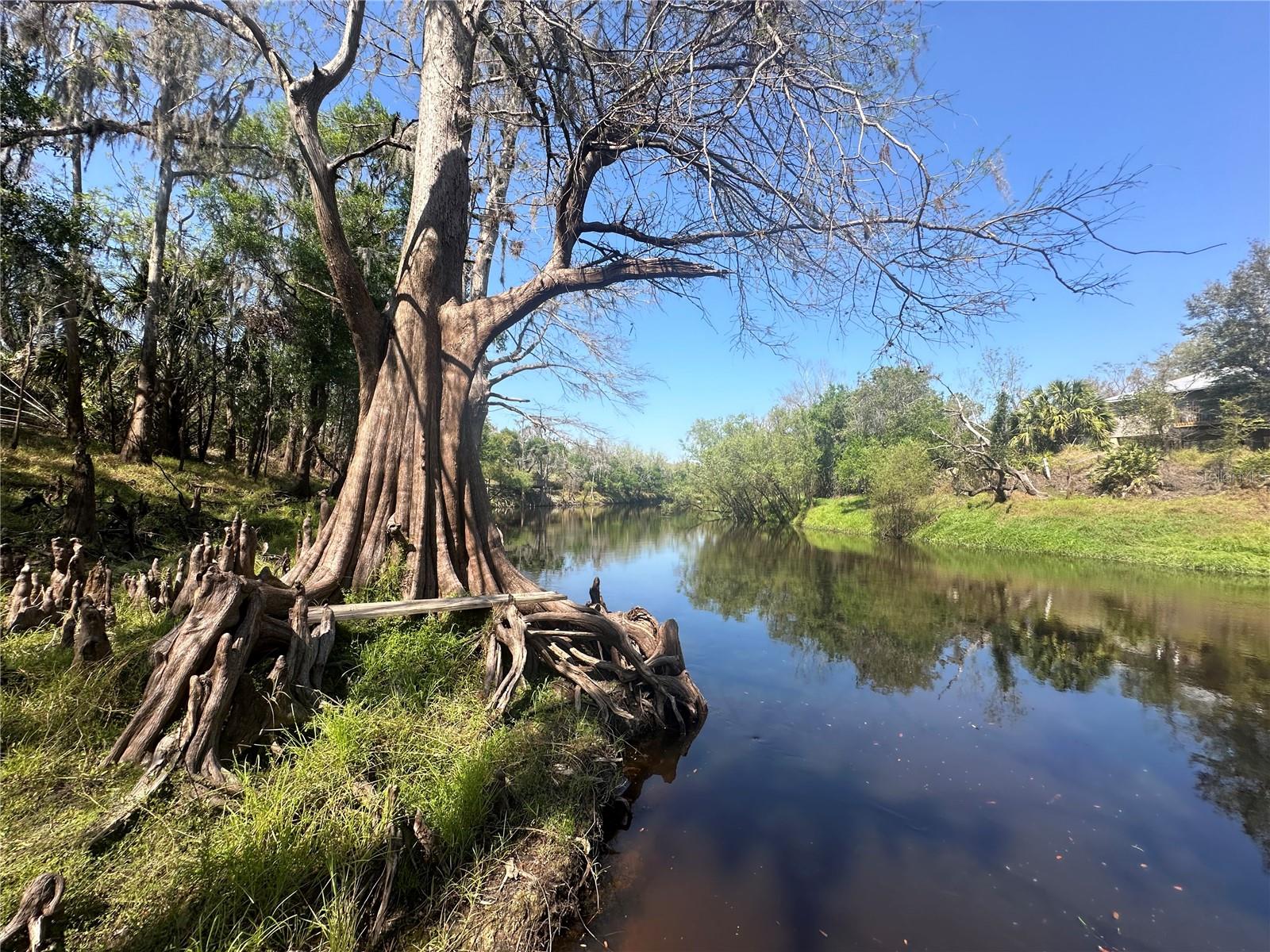 1991 NW GIRL SCOUT RD, ARCADIA, FL, 34266