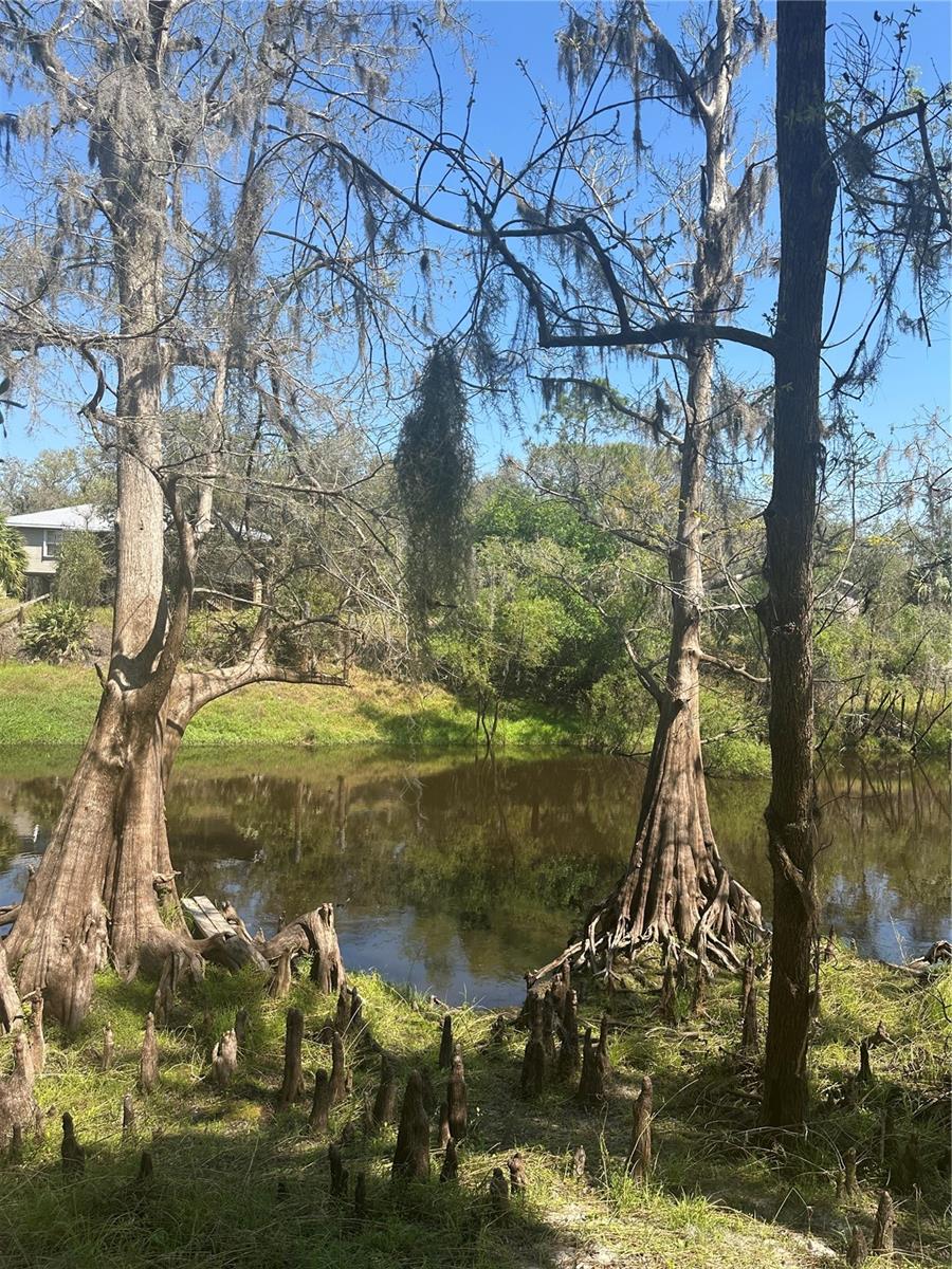 1991 NW GIRL SCOUT RD, ARCADIA, FL, 34266