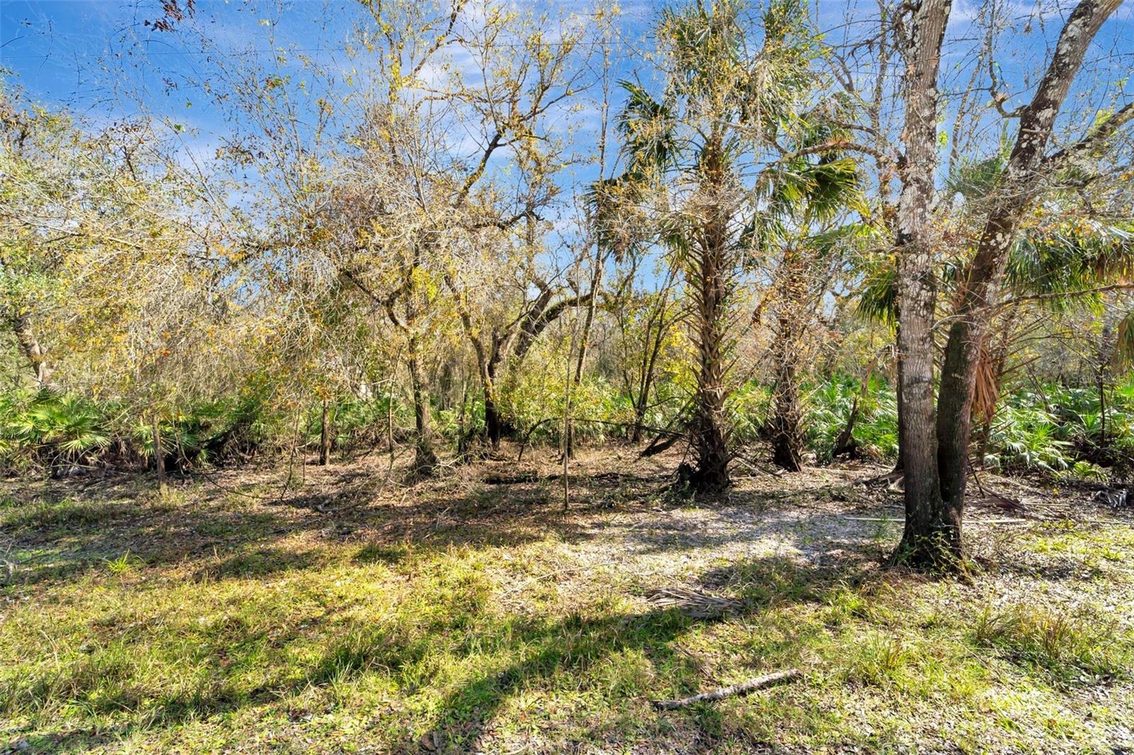 1991 NW GIRL SCOUT RD, ARCADIA, FL, 34266