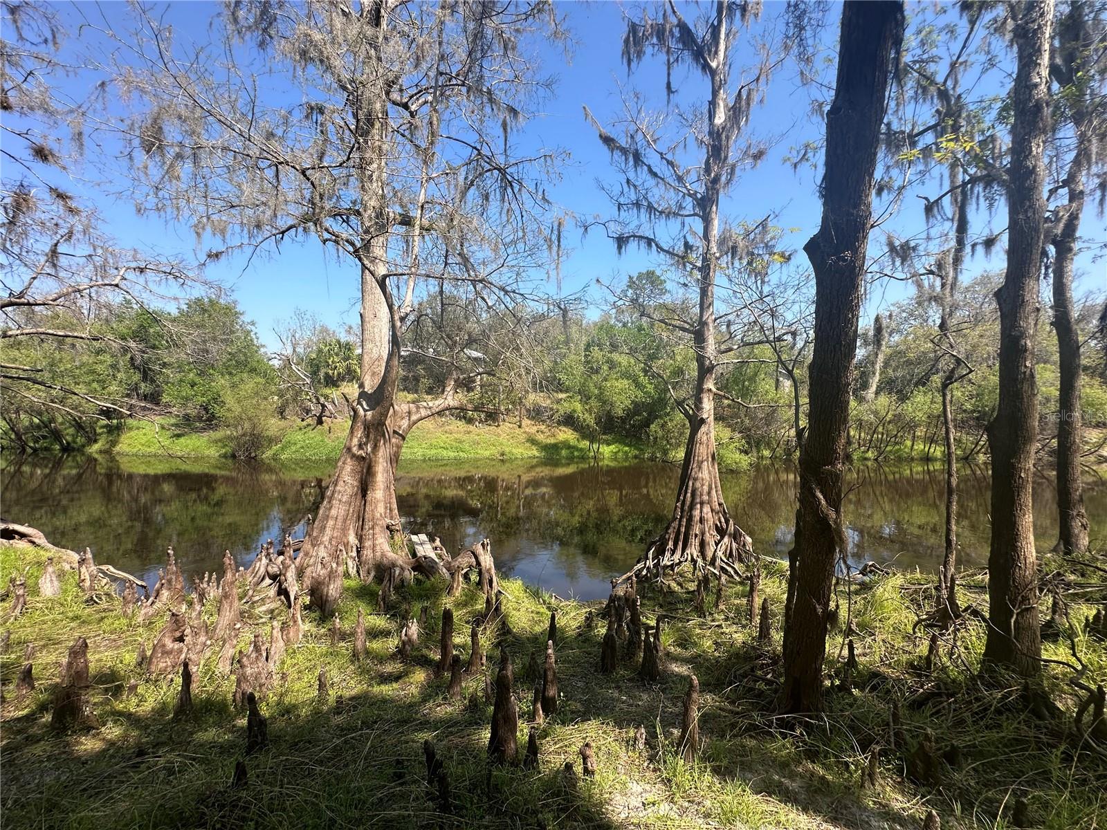 1991 NW GIRL SCOUT RD, ARCADIA, FL, 34266