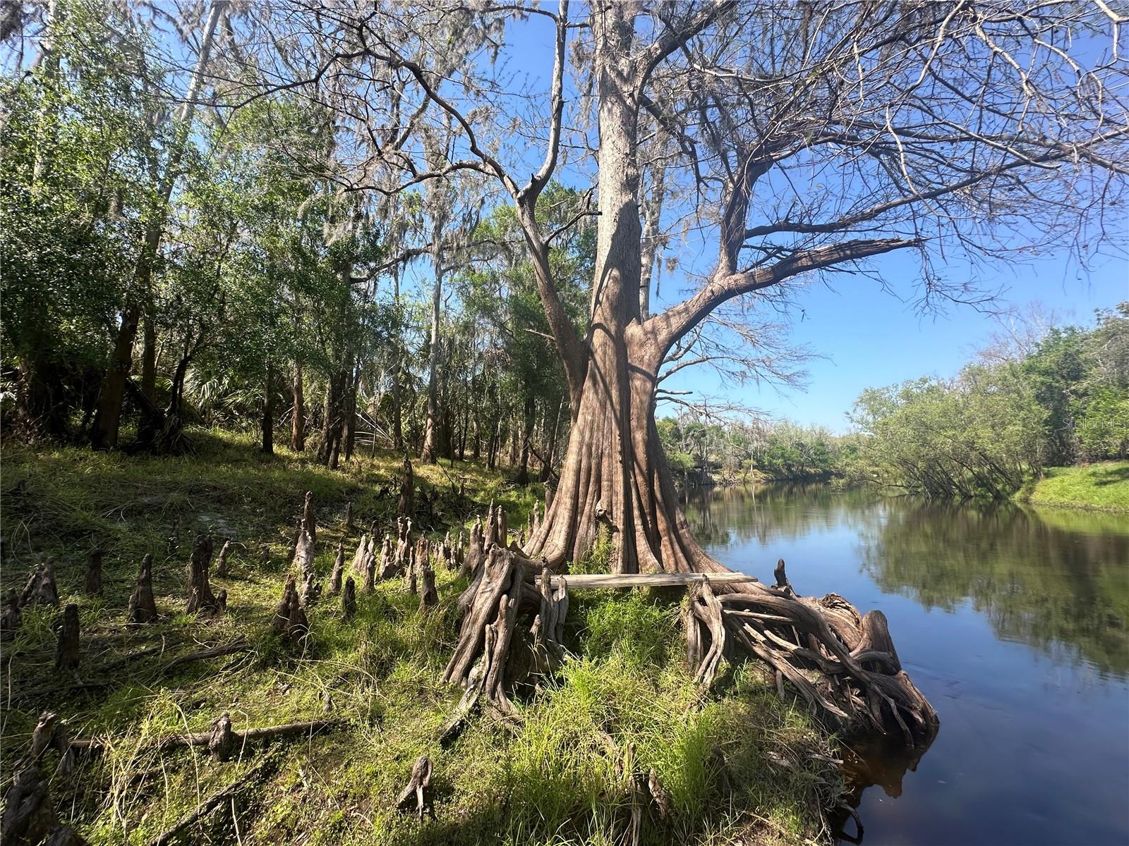 1991 NW GIRL SCOUT RD, ARCADIA, FL, 34266