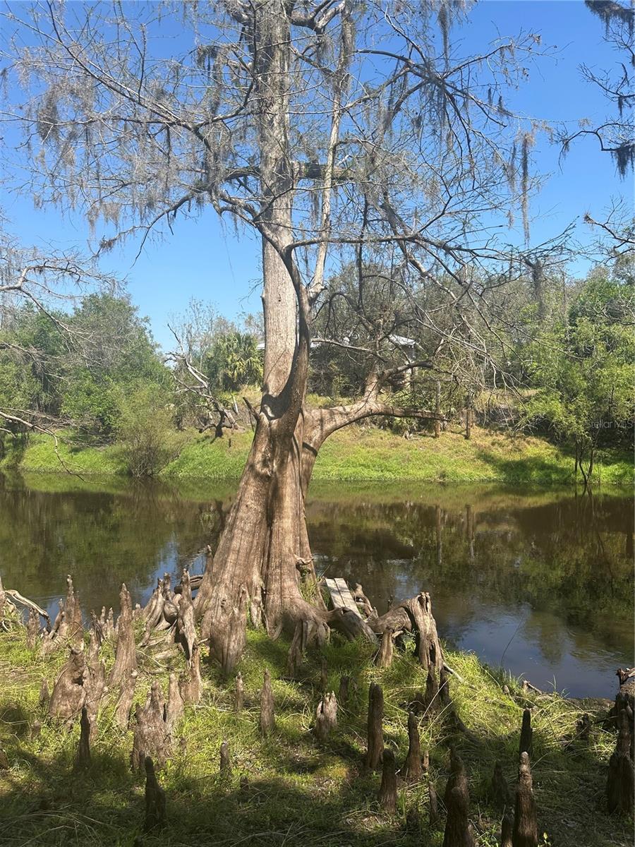 1991 NW GIRL SCOUT RD, ARCADIA, FL, 34266