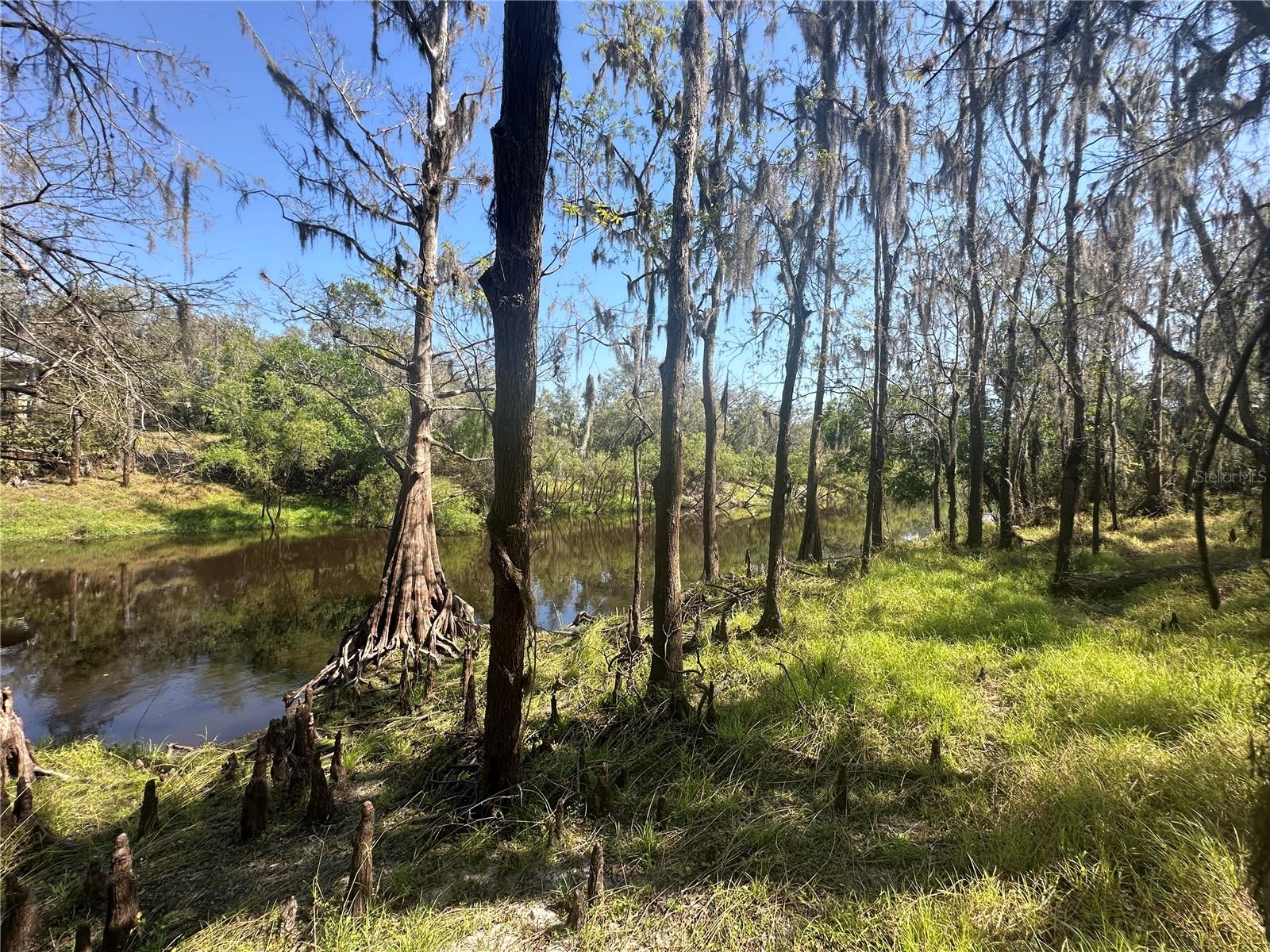 1991 NW GIRL SCOUT RD, ARCADIA, FL, 34266