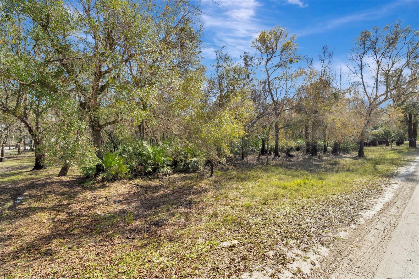 1991 NW GIRL SCOUT RD, ARCADIA, FL, 34266