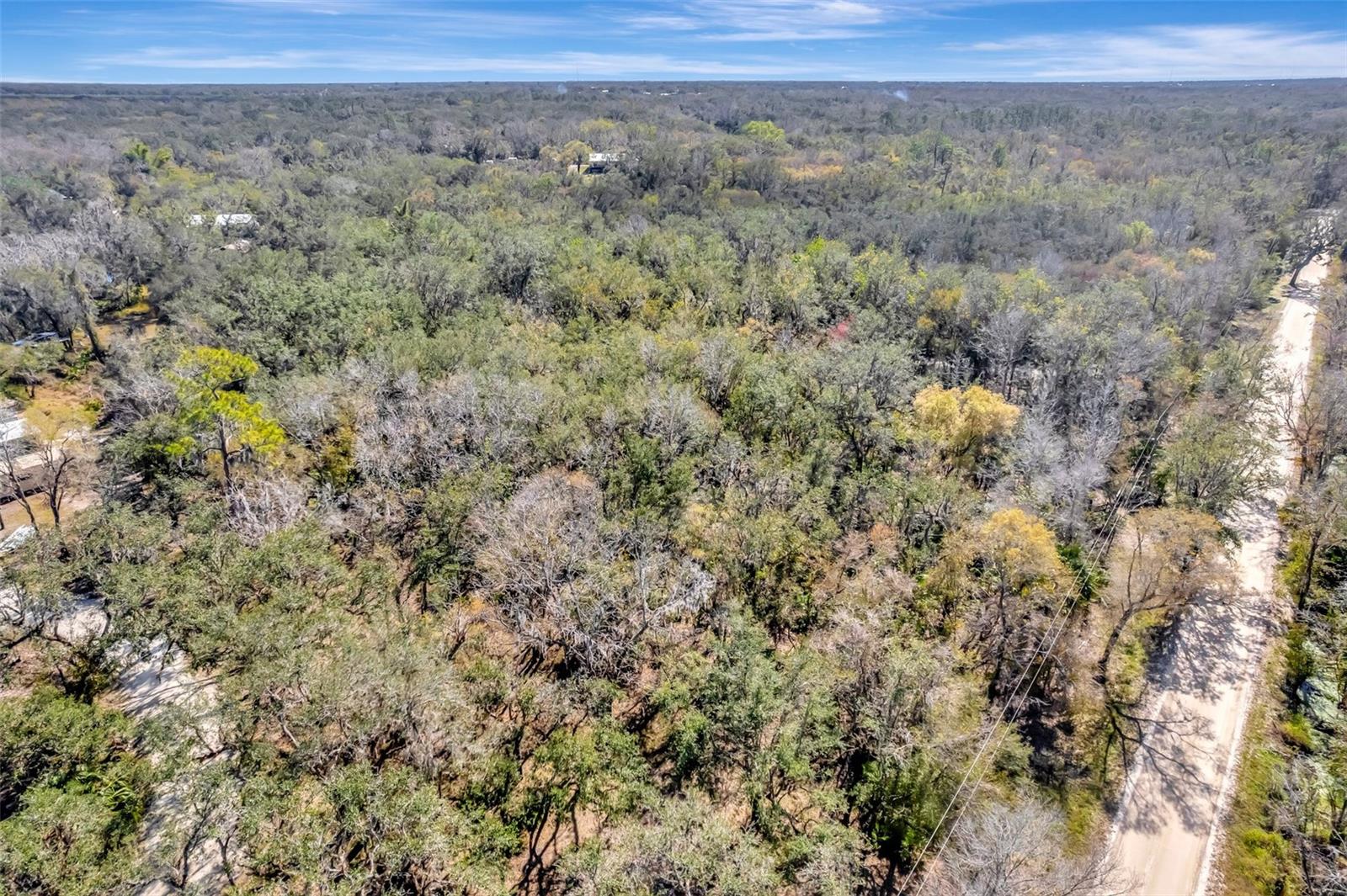 1991 NW GIRL SCOUT RD, ARCADIA, FL, 34266