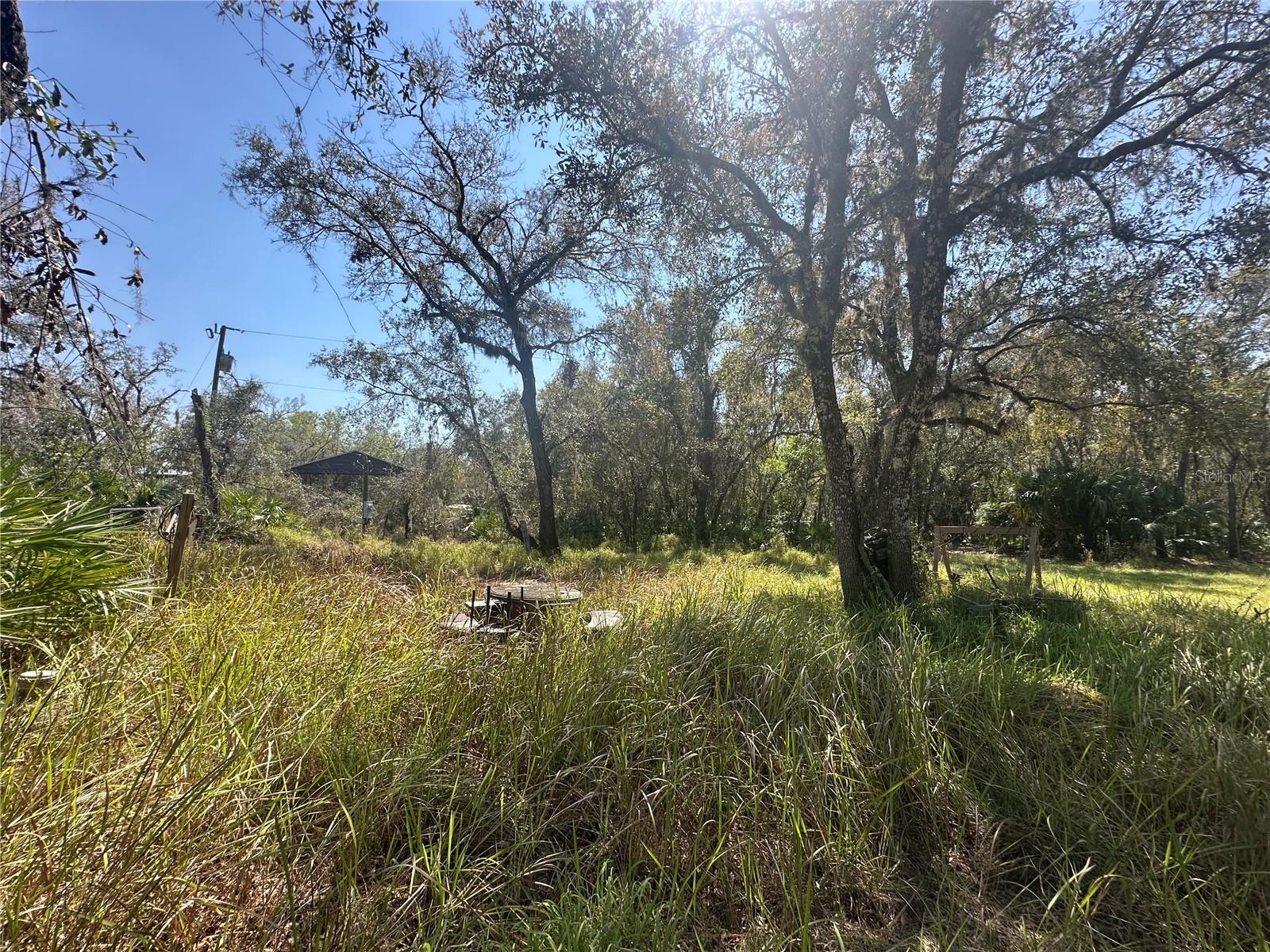 1991 NW GIRL SCOUT RD, ARCADIA, FL, 34266