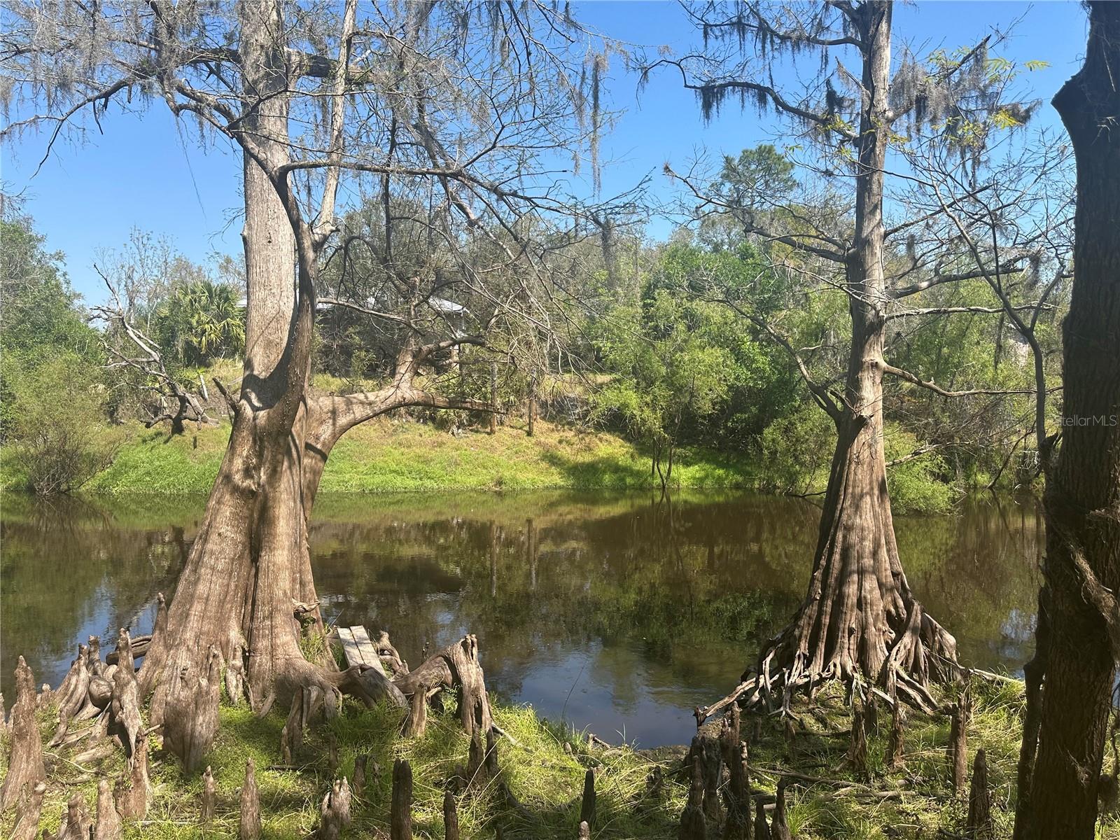 1991 NW GIRL SCOUT RD, ARCADIA, FL, 34266