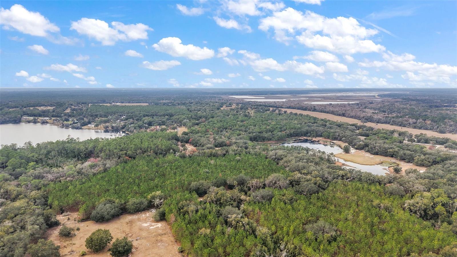 9969 SE HIGHWAY 464C, OCKLAWAHA, FL, 32179
