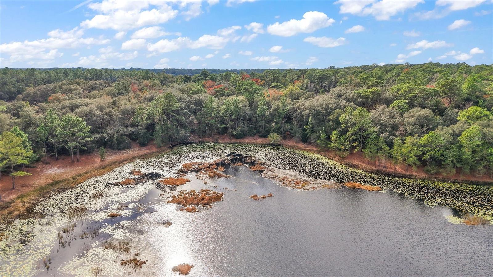 9969 SE HIGHWAY 464C, OCKLAWAHA, FL, 32179