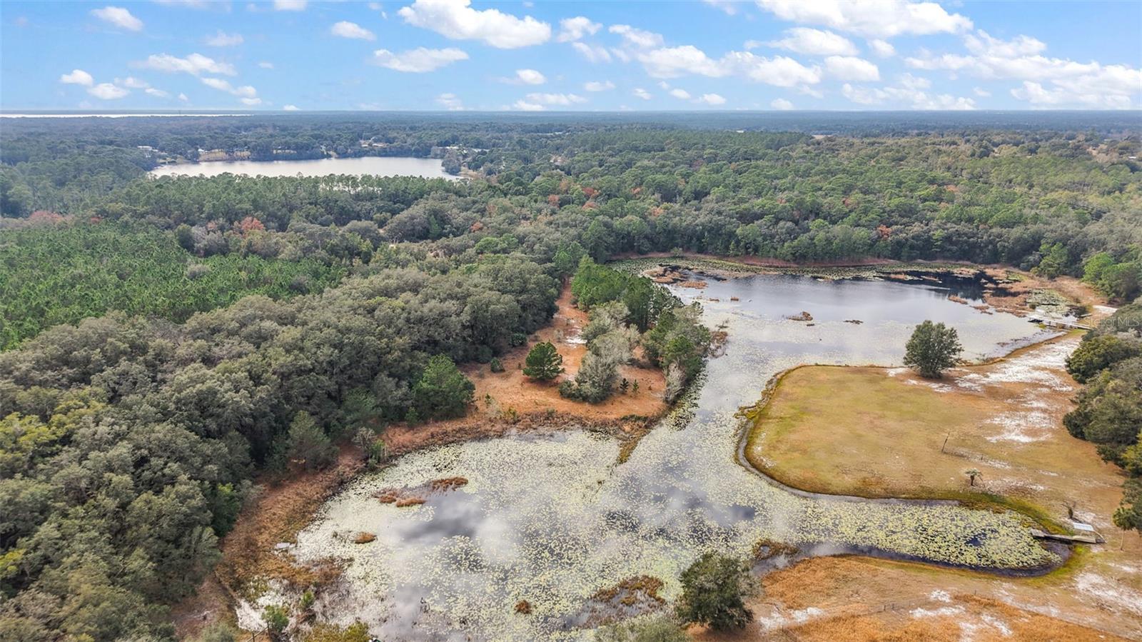 9969 SE HIGHWAY 464C, OCKLAWAHA, FL, 32179