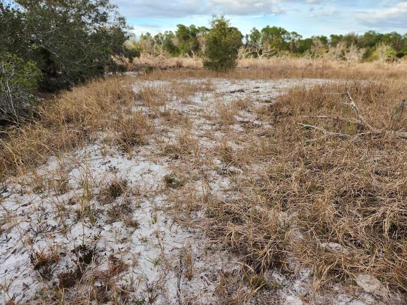 W FROSTPROOF RD #Lot 13, FROSTPROOF, FL, 33843