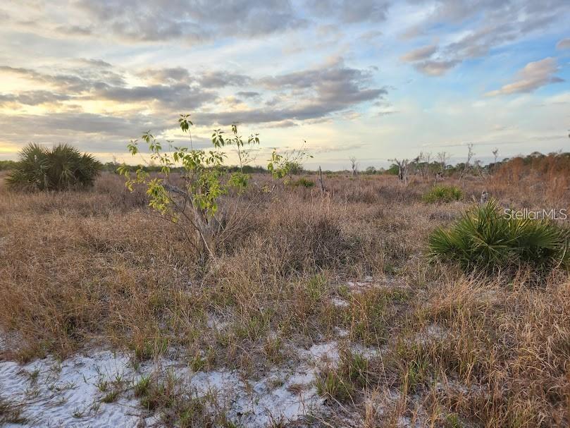 W FROSTPROOF RD #Lot 13, FROSTPROOF, FL, 33843