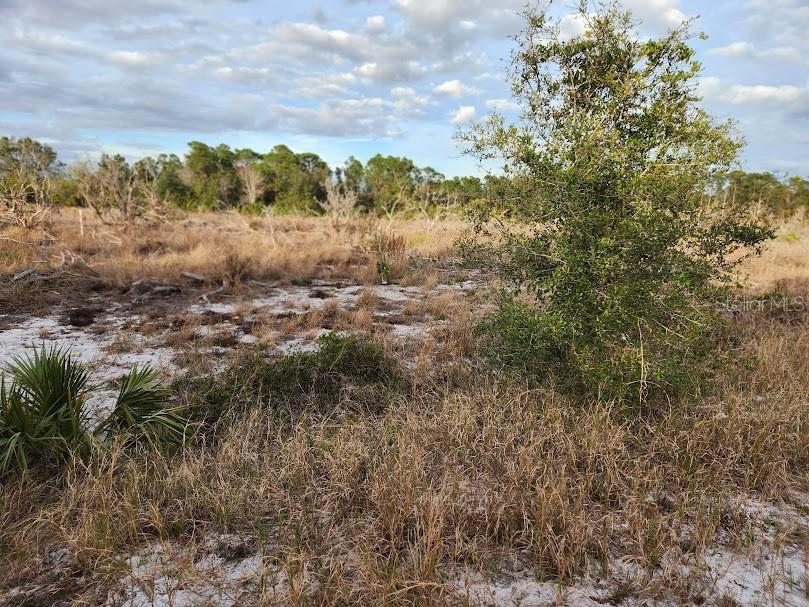 W FROSTPROOF RD #Lot 13, FROSTPROOF, FL, 33843