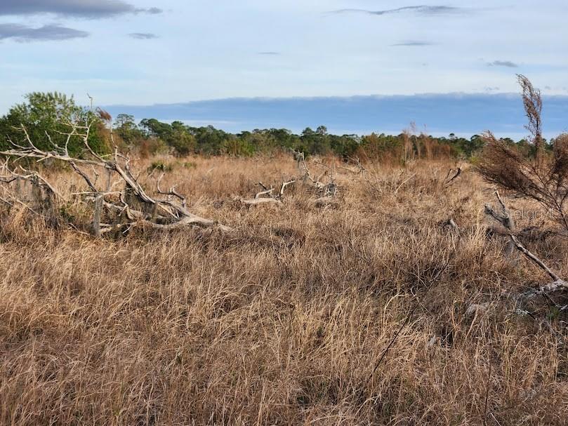 W FROSTPROOF RD #Lot 13, FROSTPROOF, FL, 33843