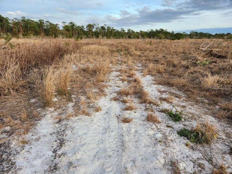 W FROSTPROOF RD #Lot 13, FROSTPROOF, FL, 33843