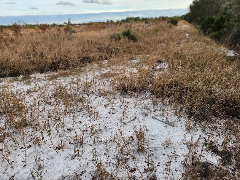 W FROSTPROOF RD #Lot 13, FROSTPROOF, FL, 33843