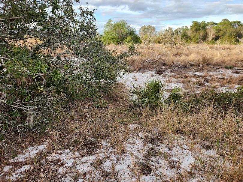 W FROSTPROOF RD #Lot 13, FROSTPROOF, FL, 33843