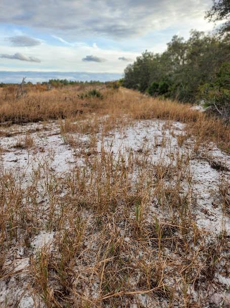 W FROSTPROOF RD #Lot 13, FROSTPROOF, FL, 33843