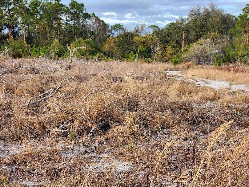 W FROSTPROOF RD #Lot 13, FROSTPROOF, FL, 33843