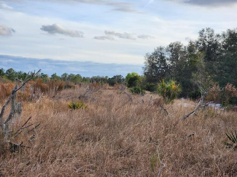 W FROSTPROOF RD #Lot 13, FROSTPROOF, FL, 33843