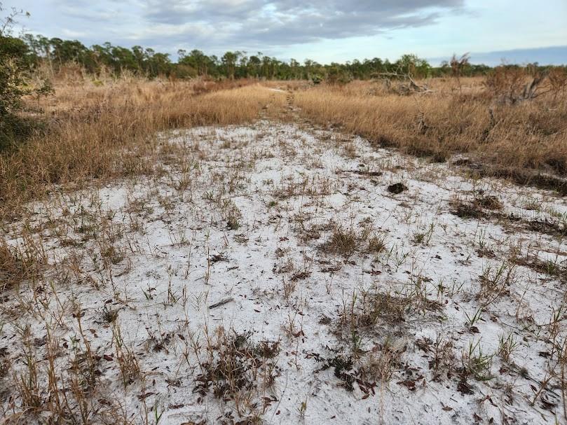 W FROSTPROOF RD #Lot 13, FROSTPROOF, FL, 33843
