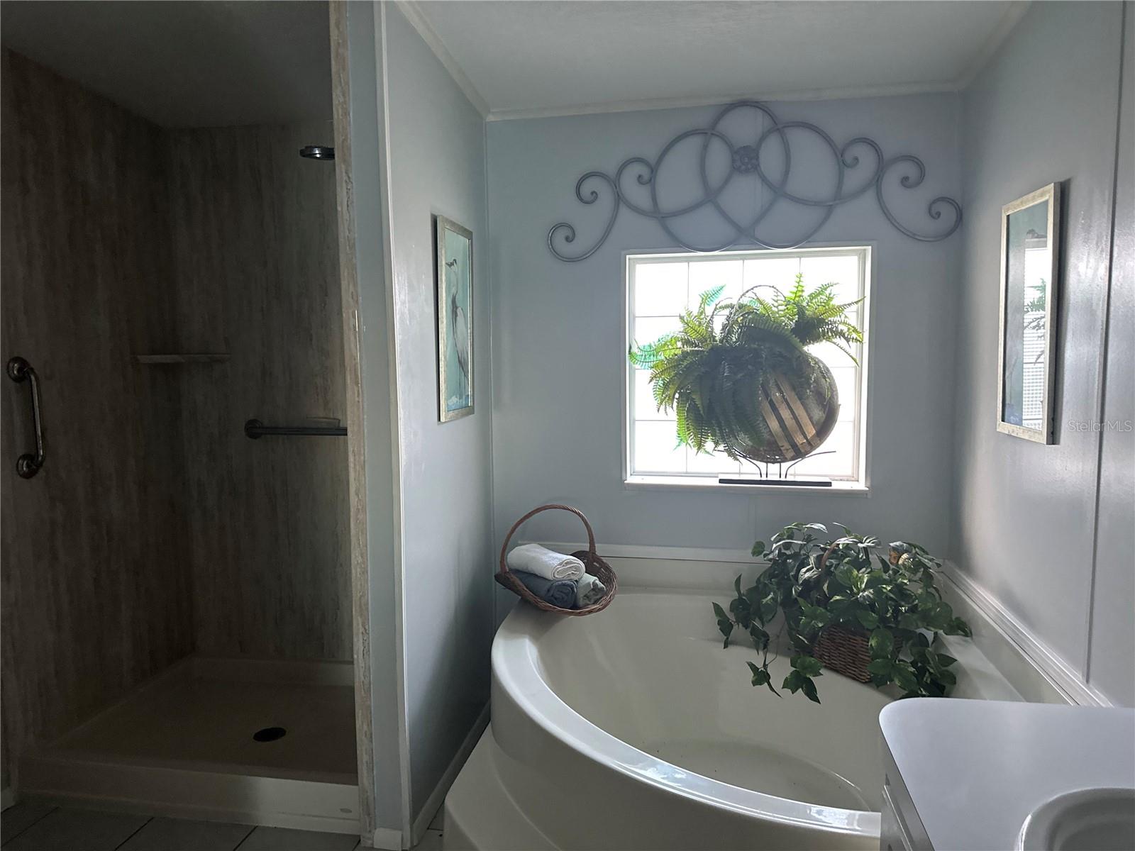 8512 FANTASIA PARK WAY, RIVERVIEW, FL, 33578