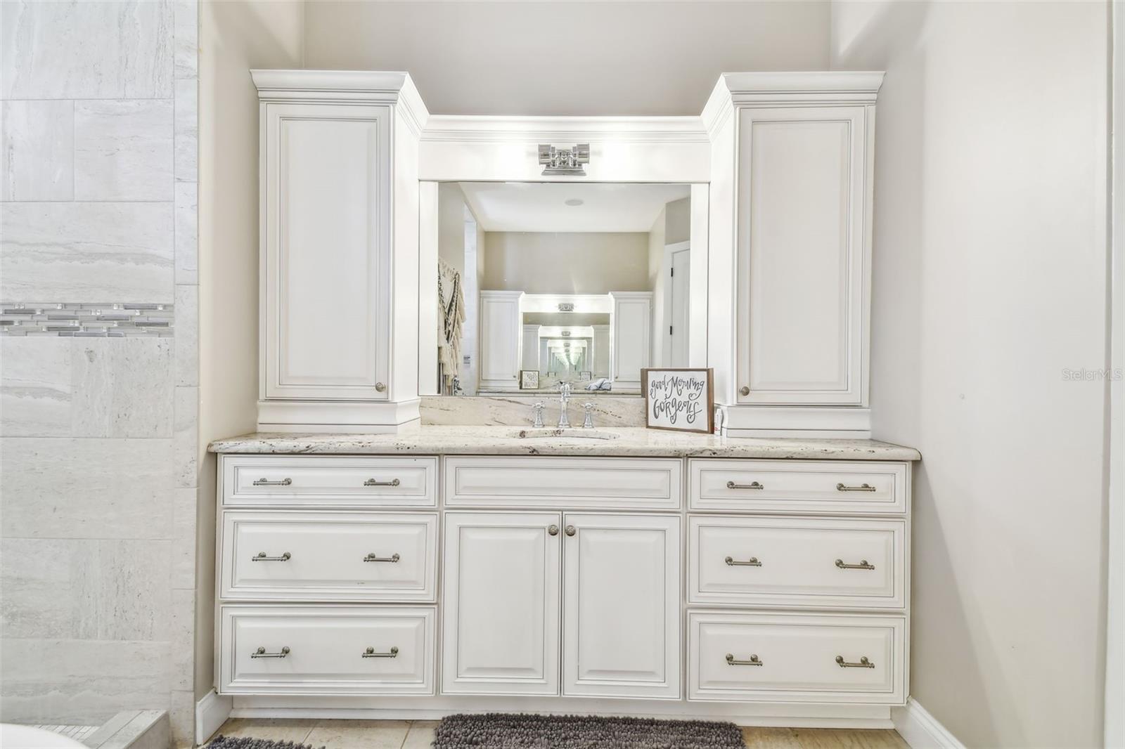 2315 DOVEWOOD ESTATES CT, VALRICO, FL, 33594