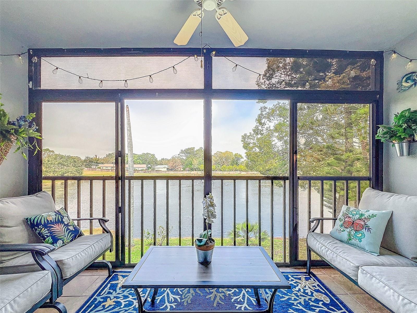 2677 PINE RIDGE WAY N #B2, PALM HARBOR, FL, 34684