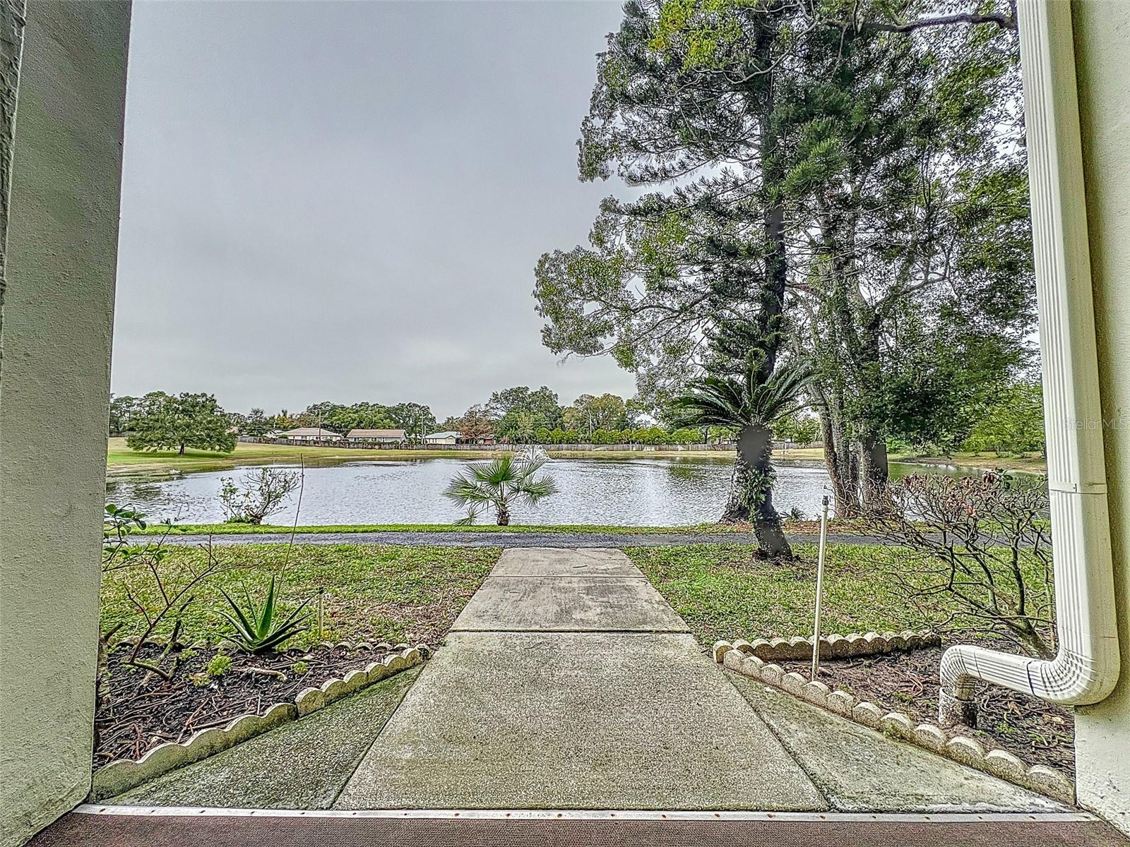 2677 PINE RIDGE WAY N #B2, PALM HARBOR, FL, 34684