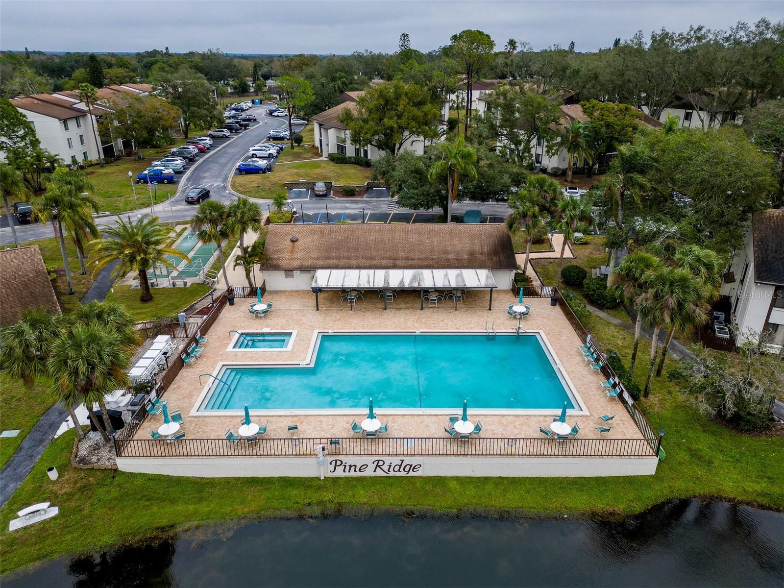 2677 PINE RIDGE WAY N #B2, PALM HARBOR, FL, 34684