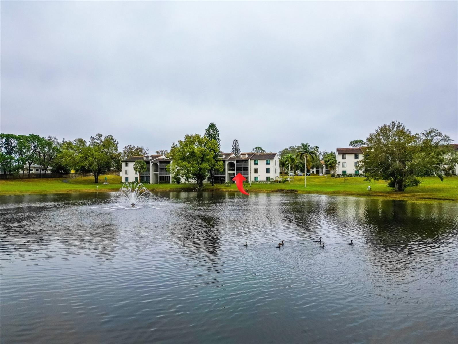 2677 PINE RIDGE WAY N #B2, PALM HARBOR, FL, 34684