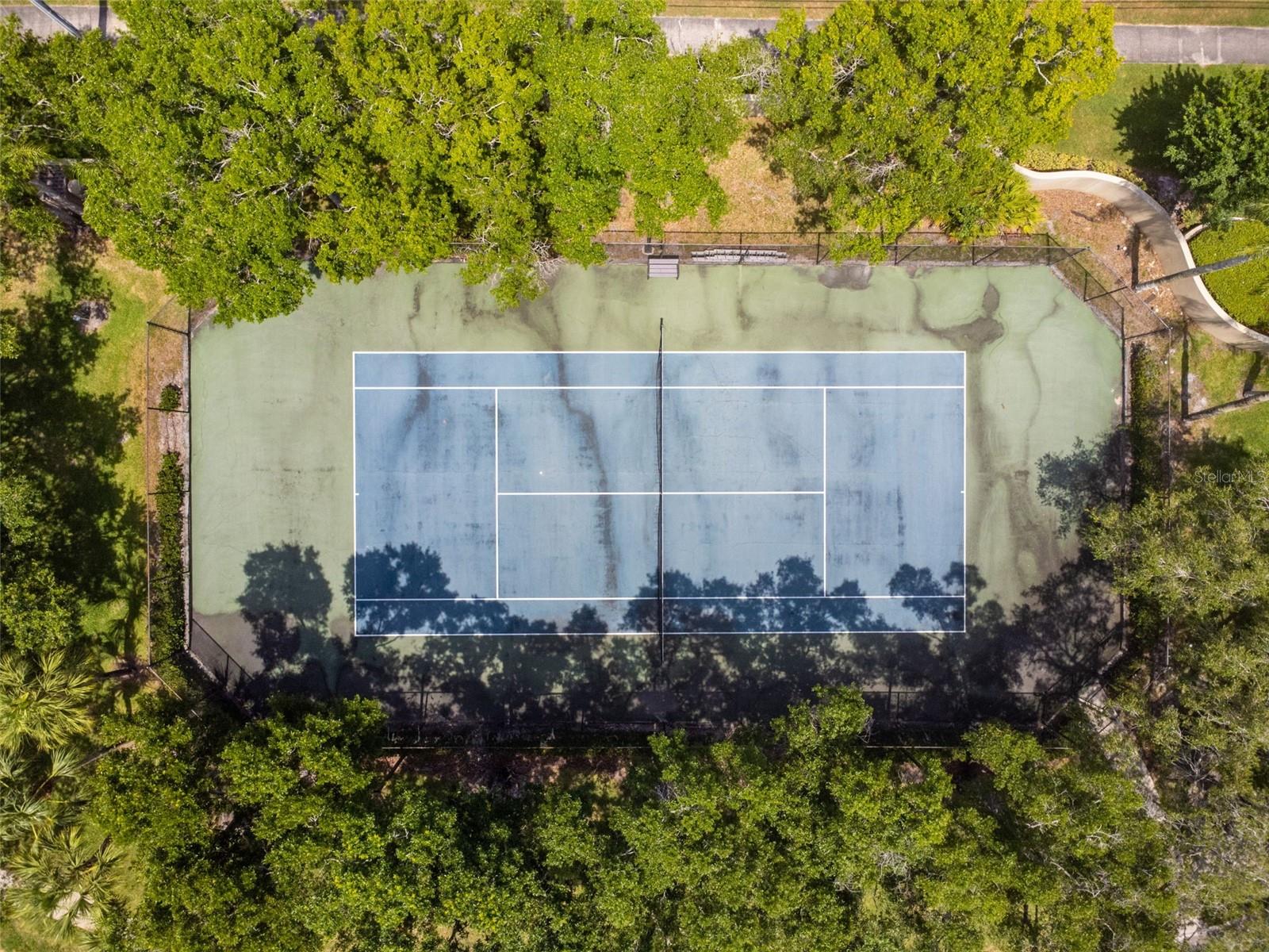 3053 LANDMARK BLVD #1104, PALM HARBOR, FL, 34684