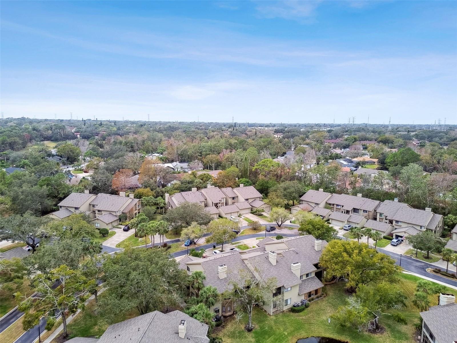 3053 LANDMARK BLVD #1104, PALM HARBOR, FL, 34684