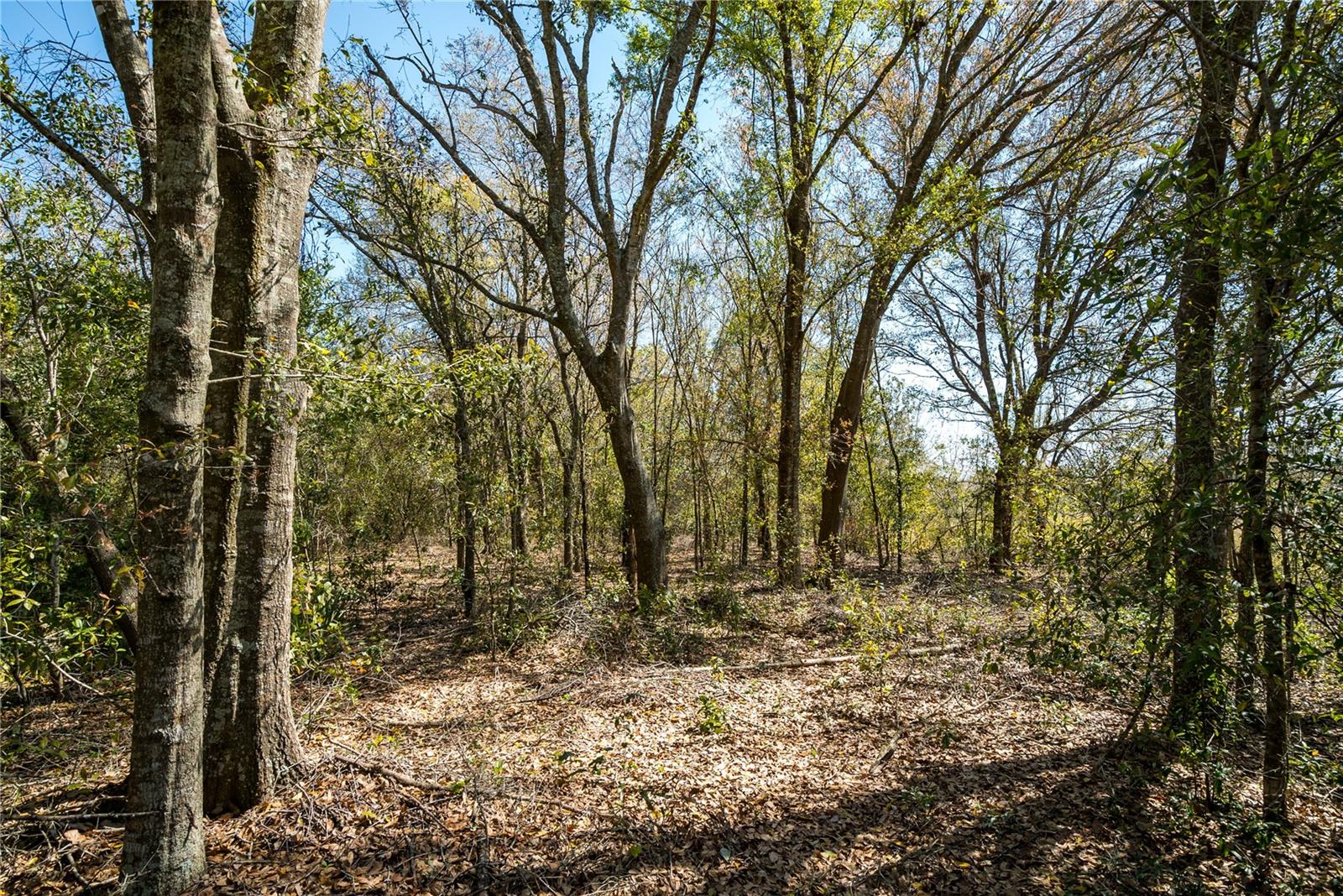 2719 W WINDSOR RD, AVON PARK, FL, 33825