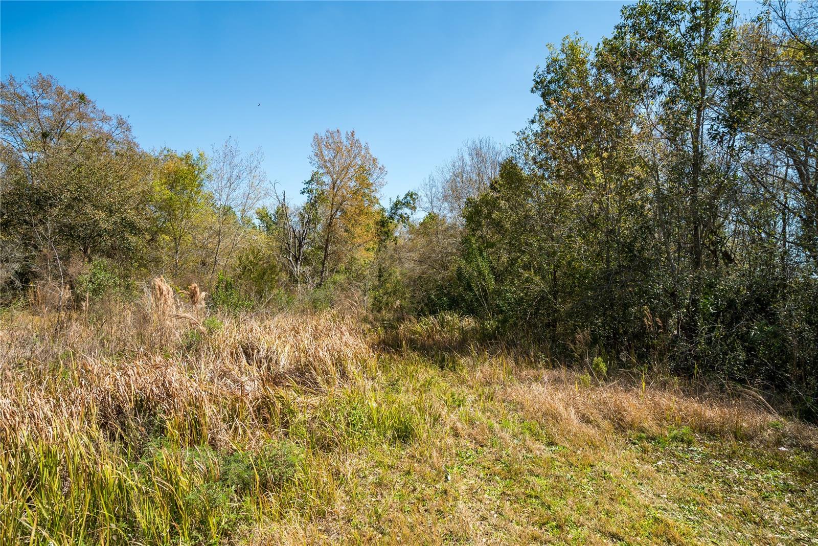 2719 W WINDSOR RD, AVON PARK, FL, 33825