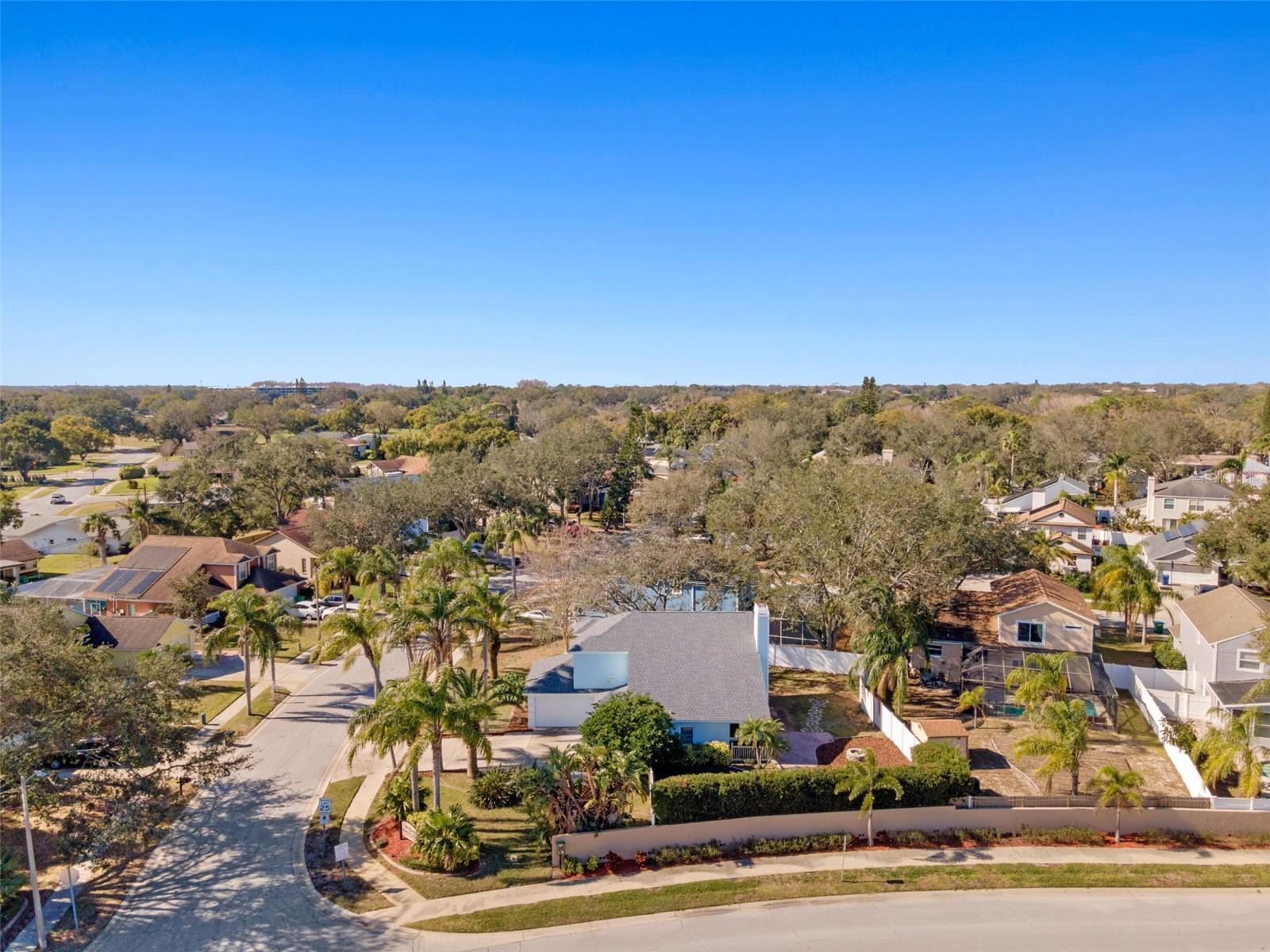 2993 SHANNON CIR, PALM HARBOR, FL, 34684