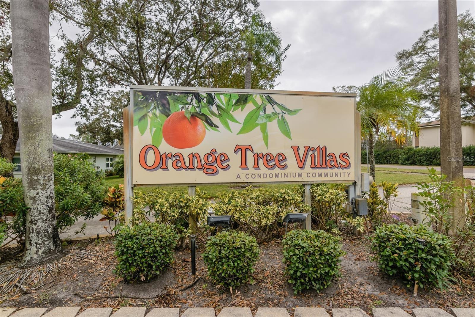 2832 ORANGE TREE CIR N #B, PALM HARBOR, FL, 34684
