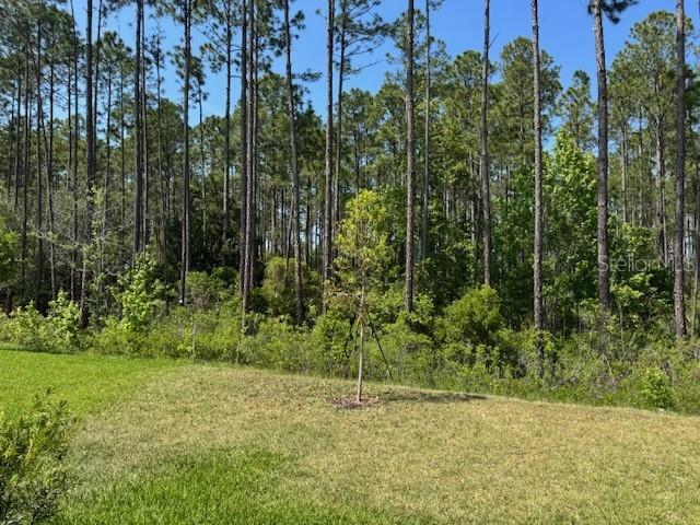 169 GREENWOOD DR, PALM COAST, FL, 32137